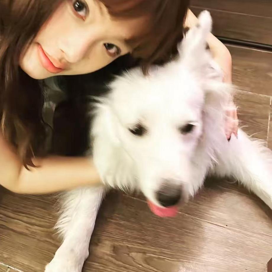 杰尼杰尼杰尼龟