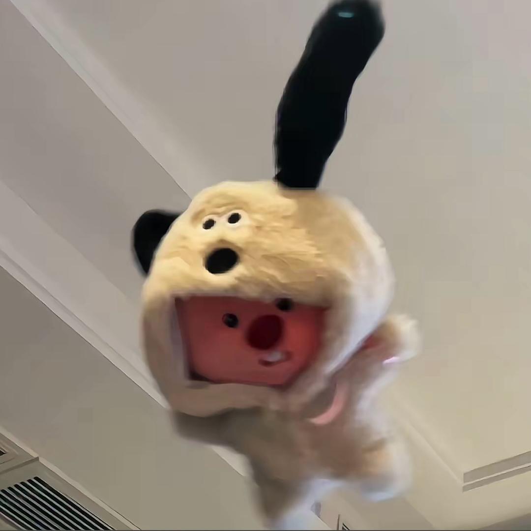 邓邓咩.