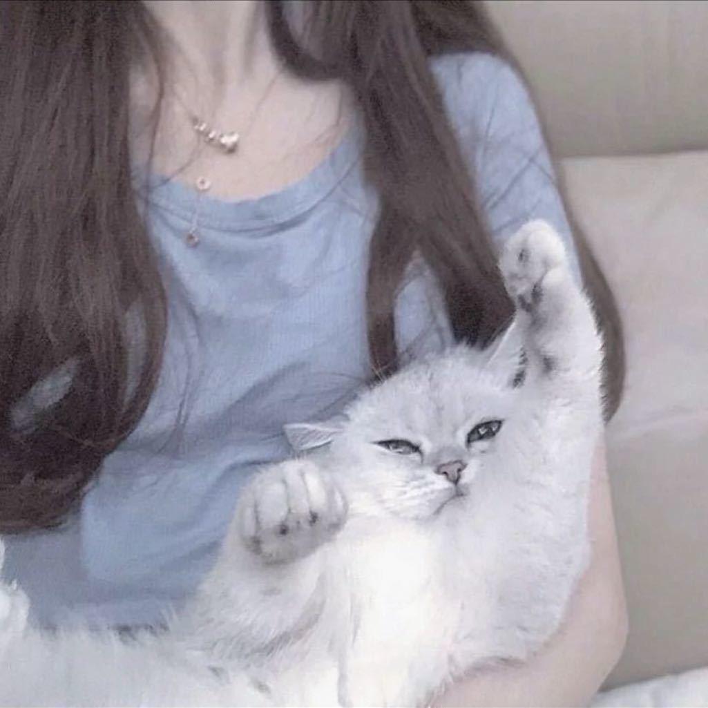 悸动             ❔