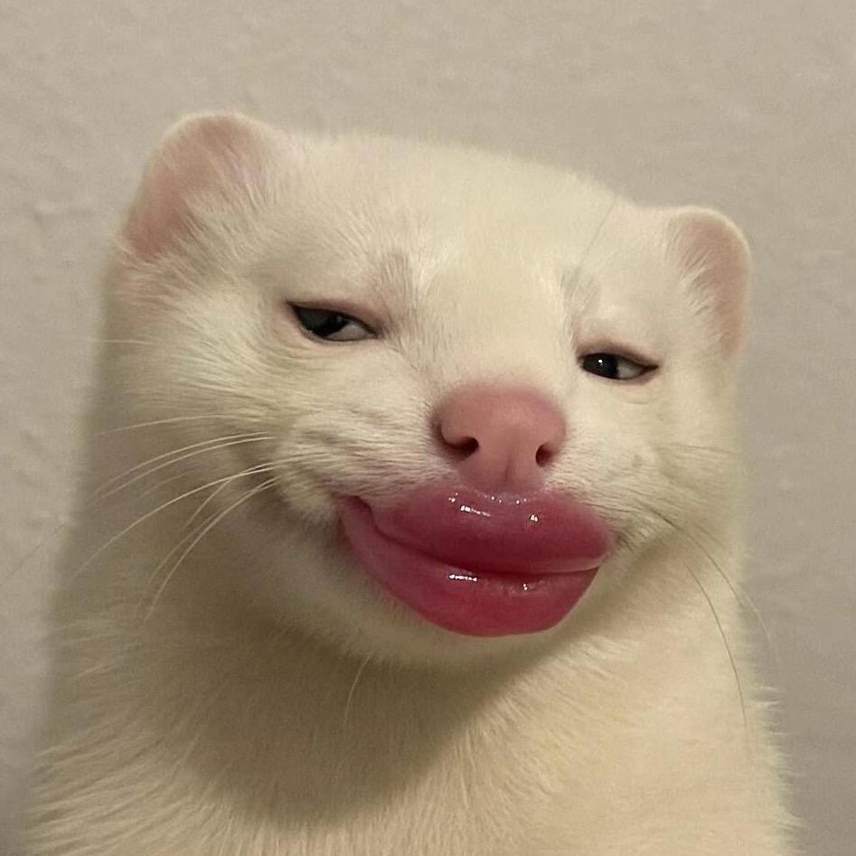 报听🌪️