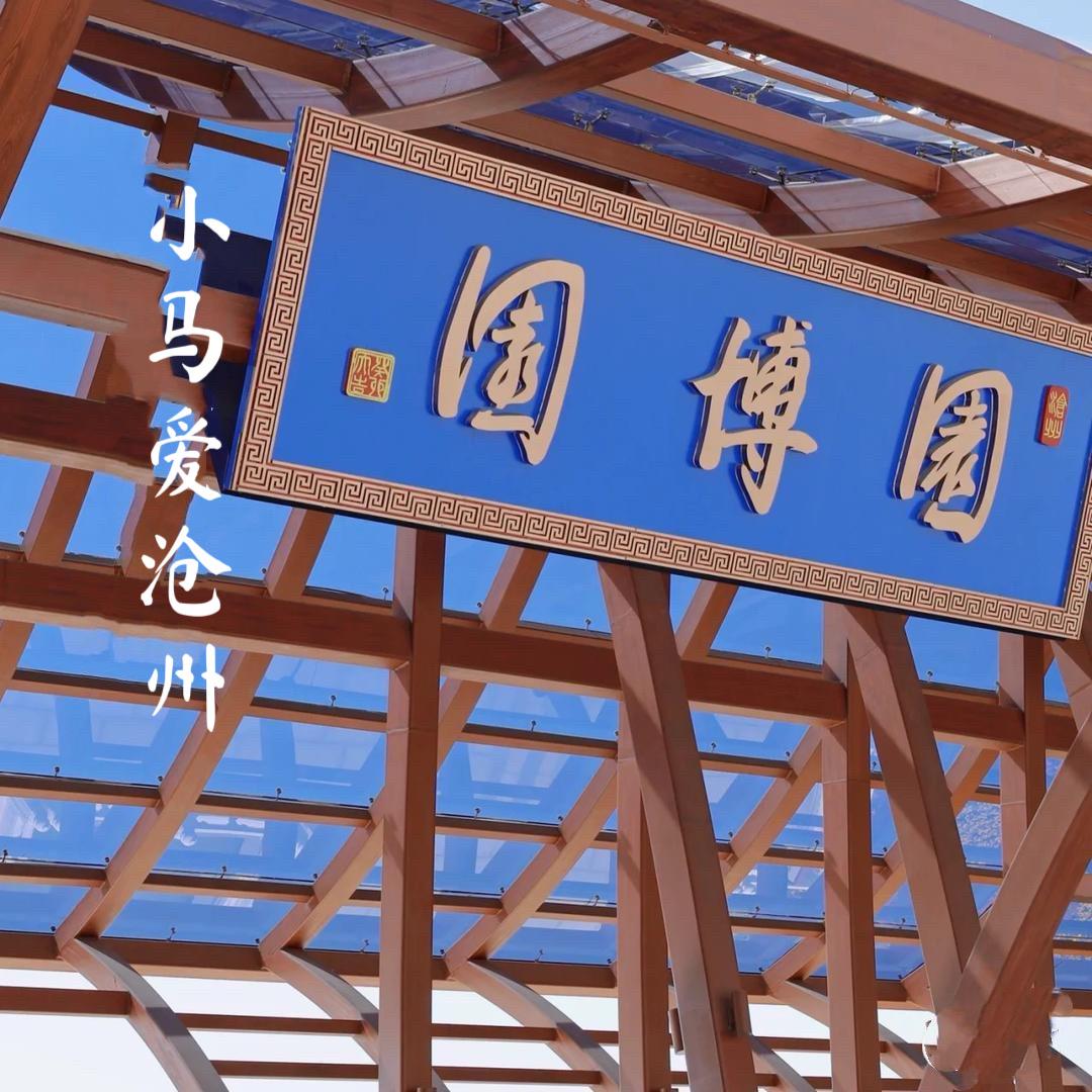 小马爱沧州