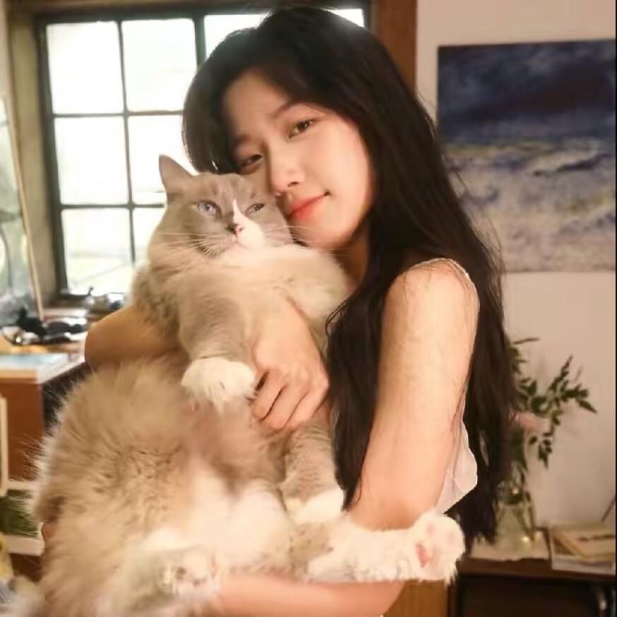 可可乐🌸