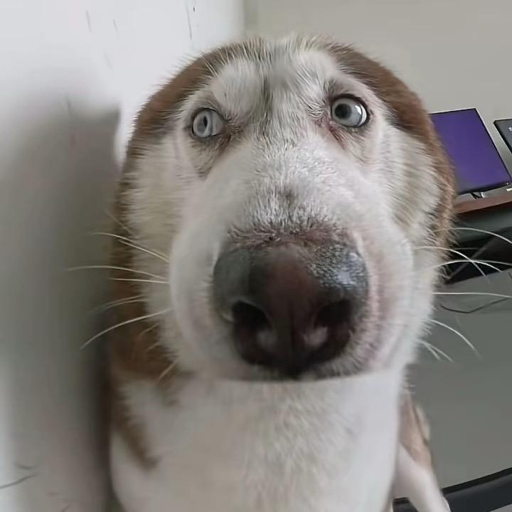 小王同学　　　　　　　🪳