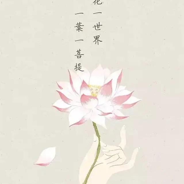 【菩提】