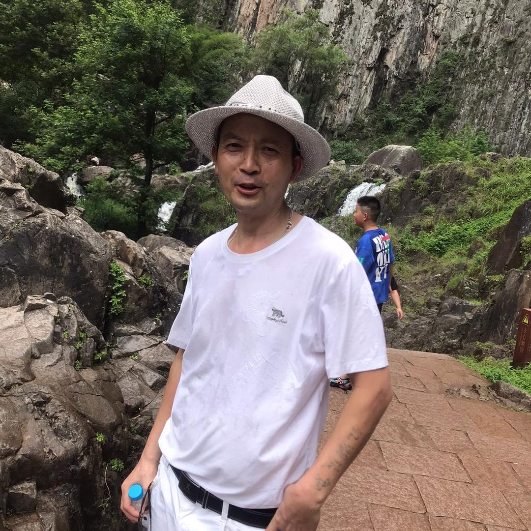 会飞的牛