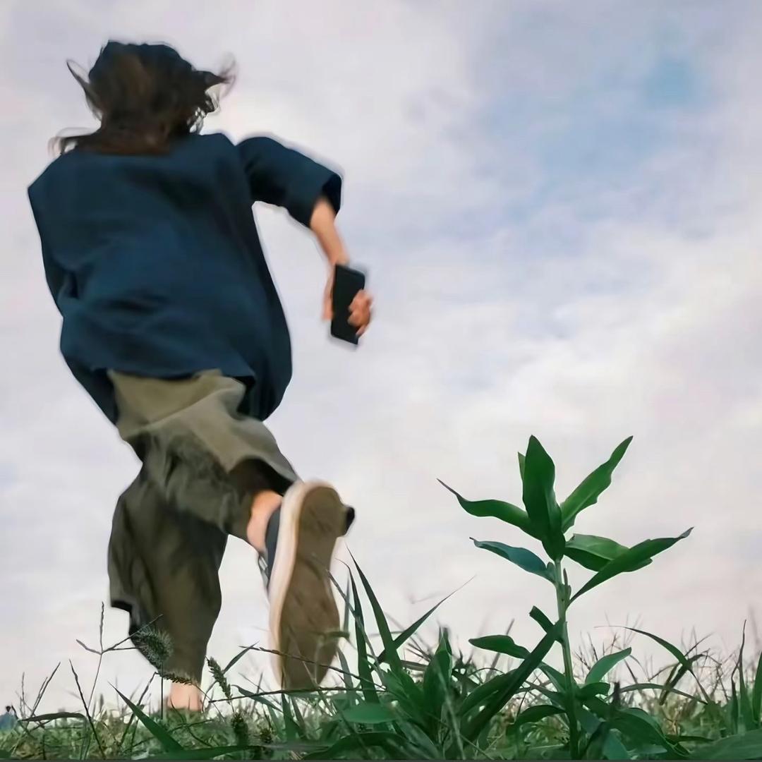 秦百草