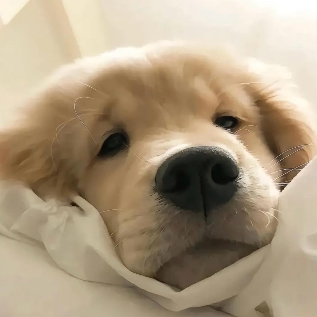菲律宾的夜