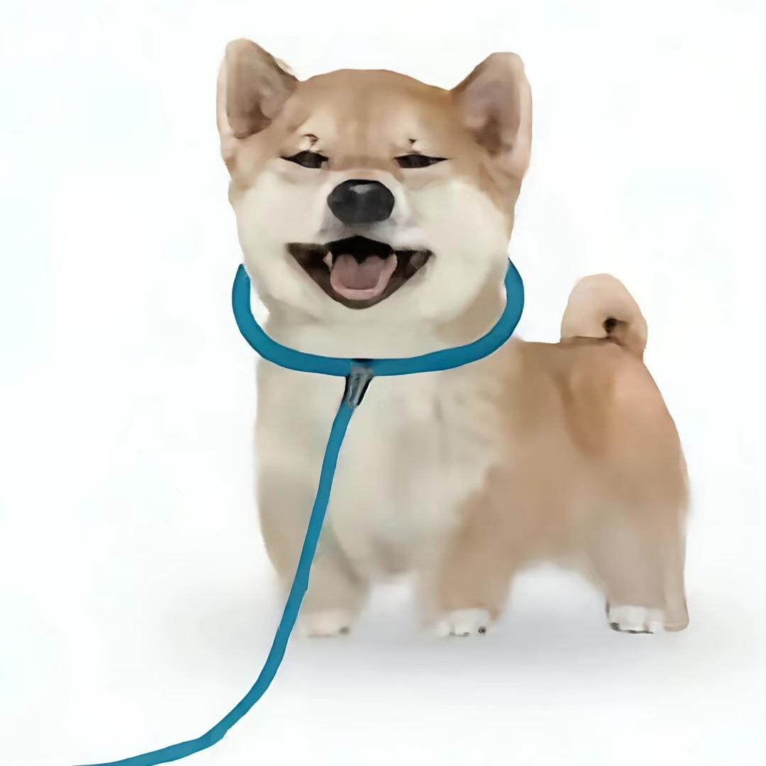 265°的冰块🧊