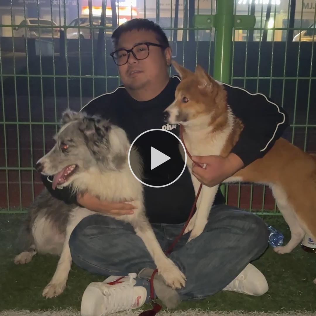 南瓜是橙色的