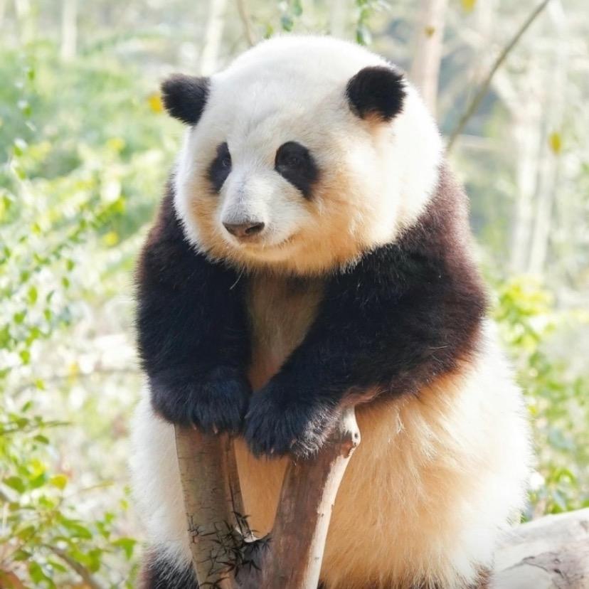 我给生活比个✌