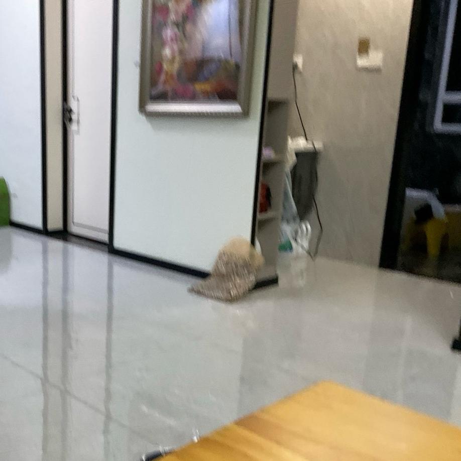 美滋滋