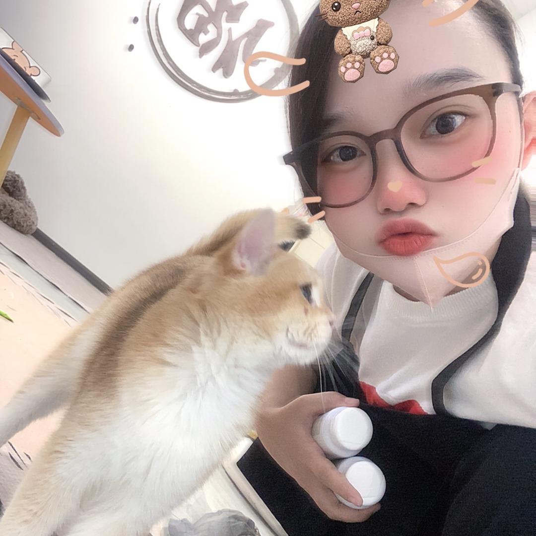 银子是只喵