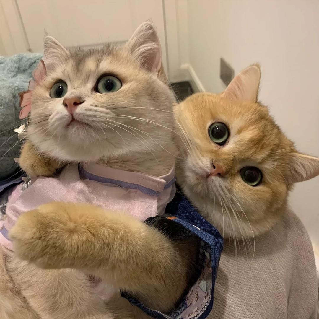 小赛有优品