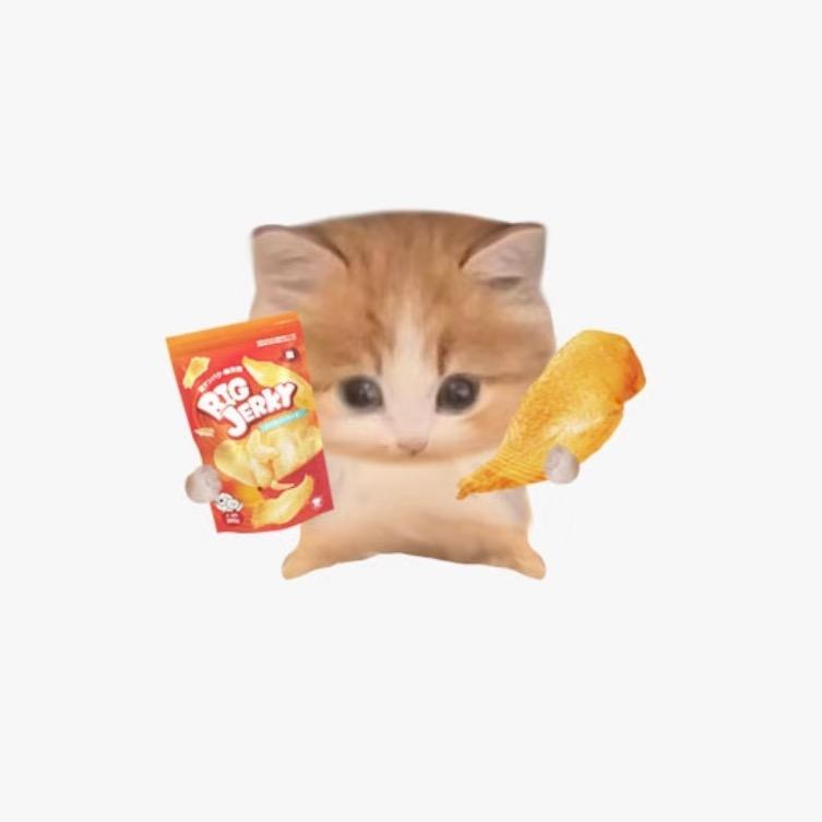 糯米团子🍡