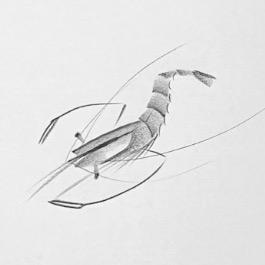 小一老师教画画