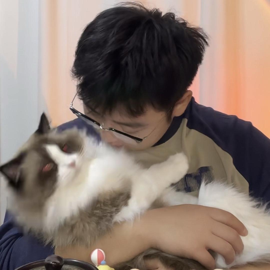 杨树林子