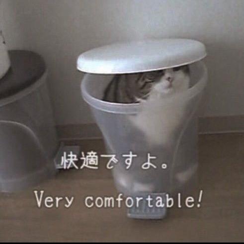 沧龙野栗