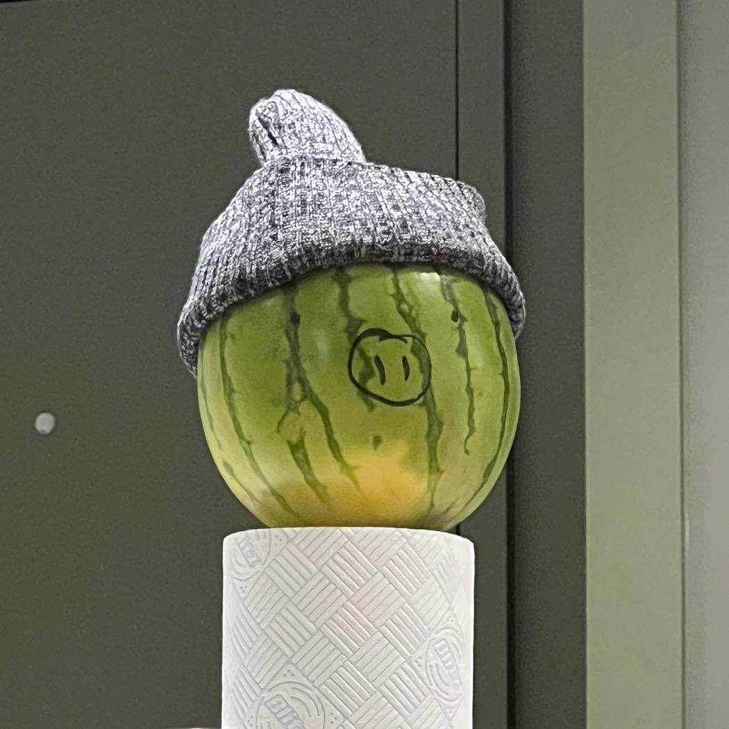 小黄好累🥱