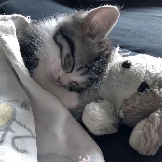 我的烦恼不值得一提