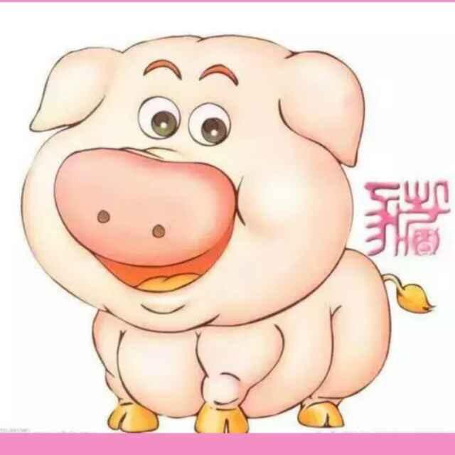 快乐🐷小猪