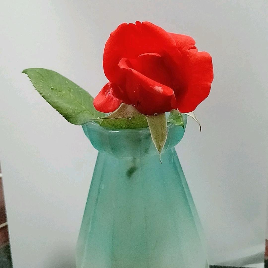 牧森书店2号