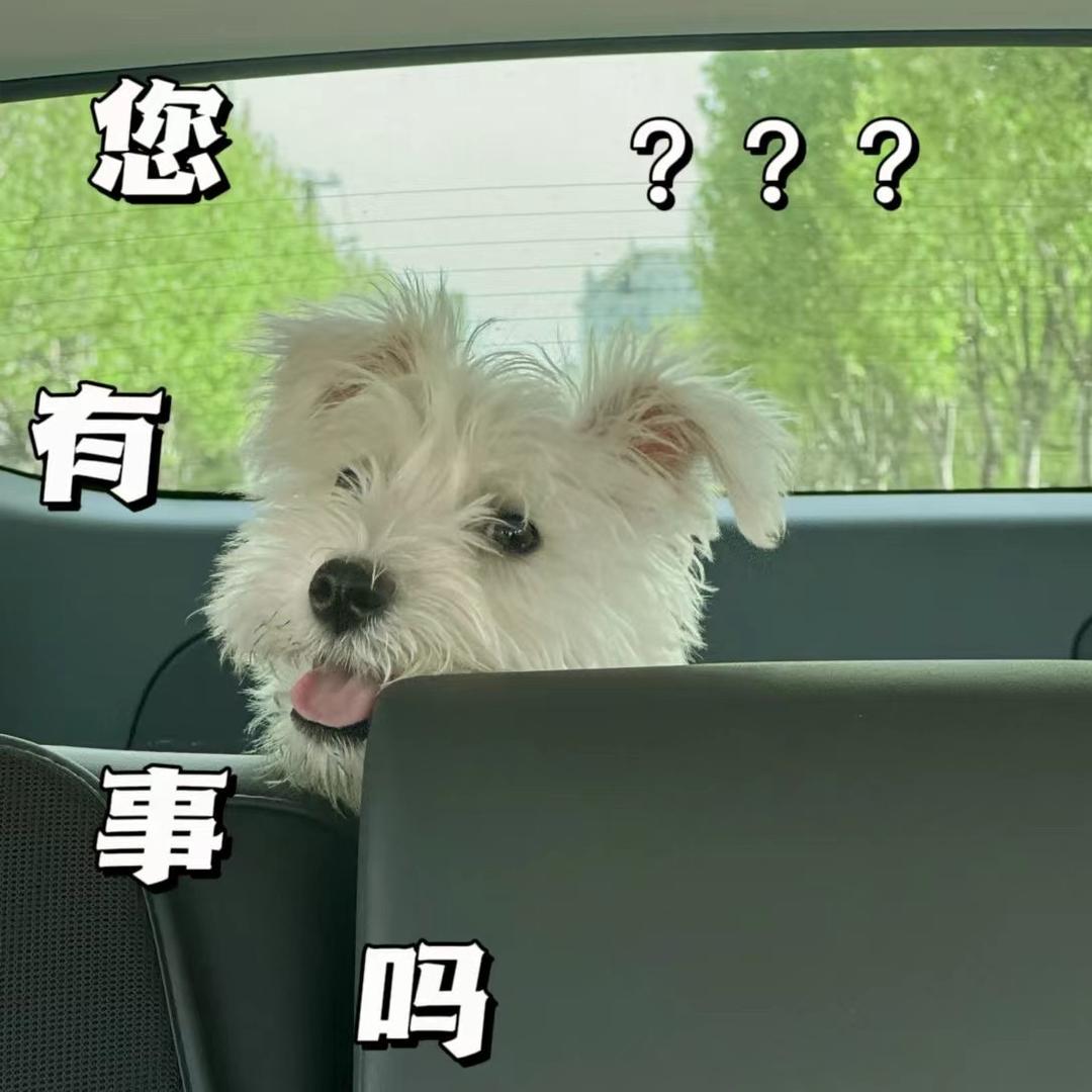 王姐