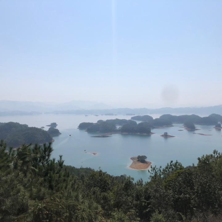 阳光下的灿烂