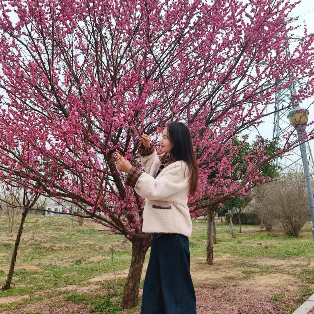 我是一根筋
