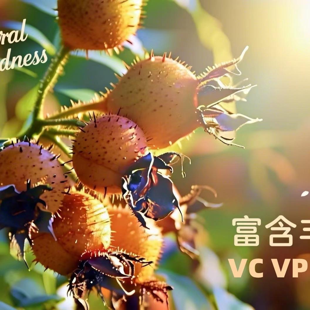 贵州华顺康