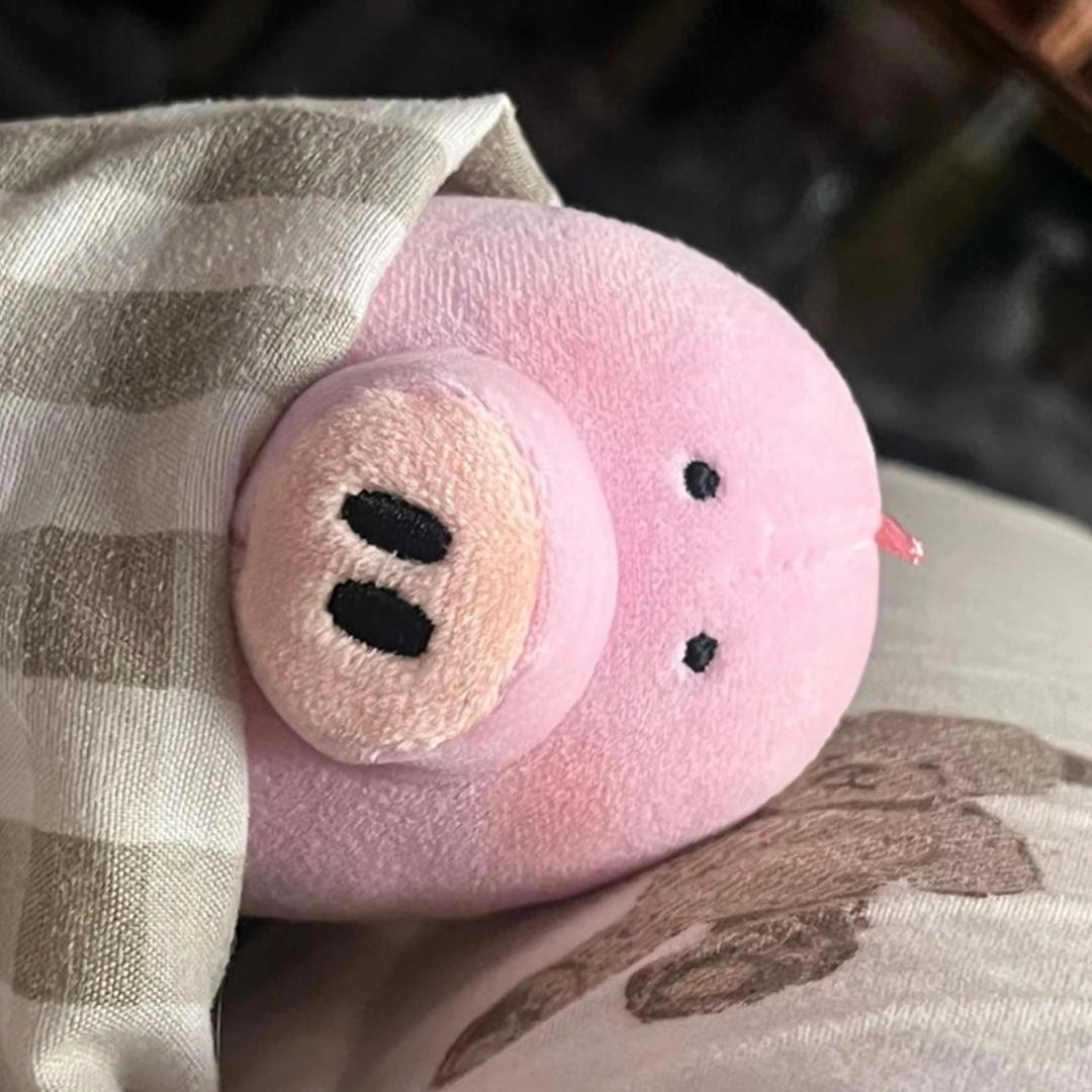 跳起来一米八🧸