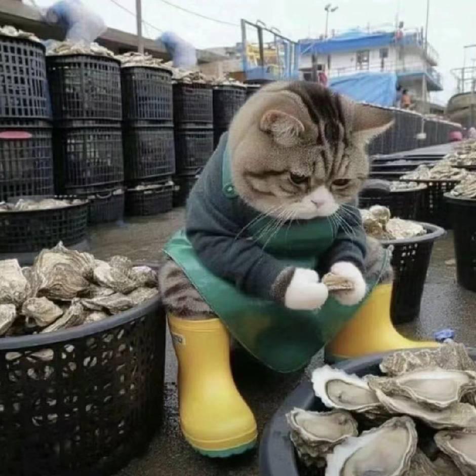 青岛小伟海鲜批发