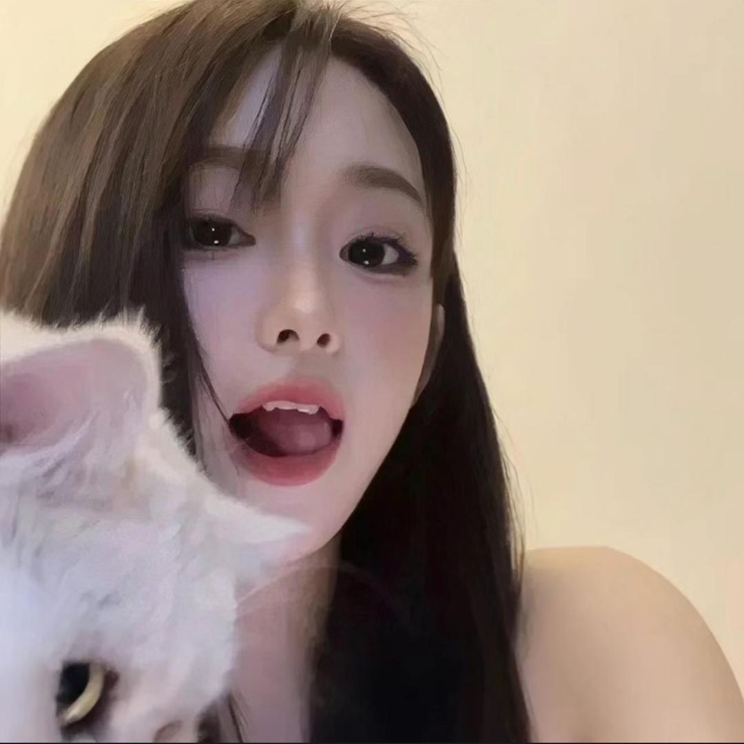 小罐头羊🐑