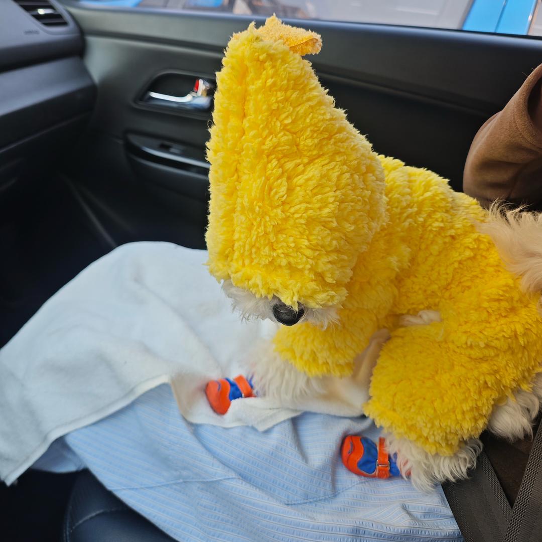 先潦草的出发吧-