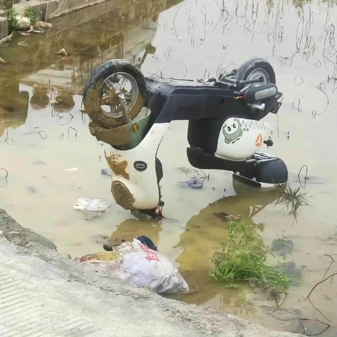 鱼鲫与鱼鳙吃不驴与鱼鲤绿与鱼鲤铝