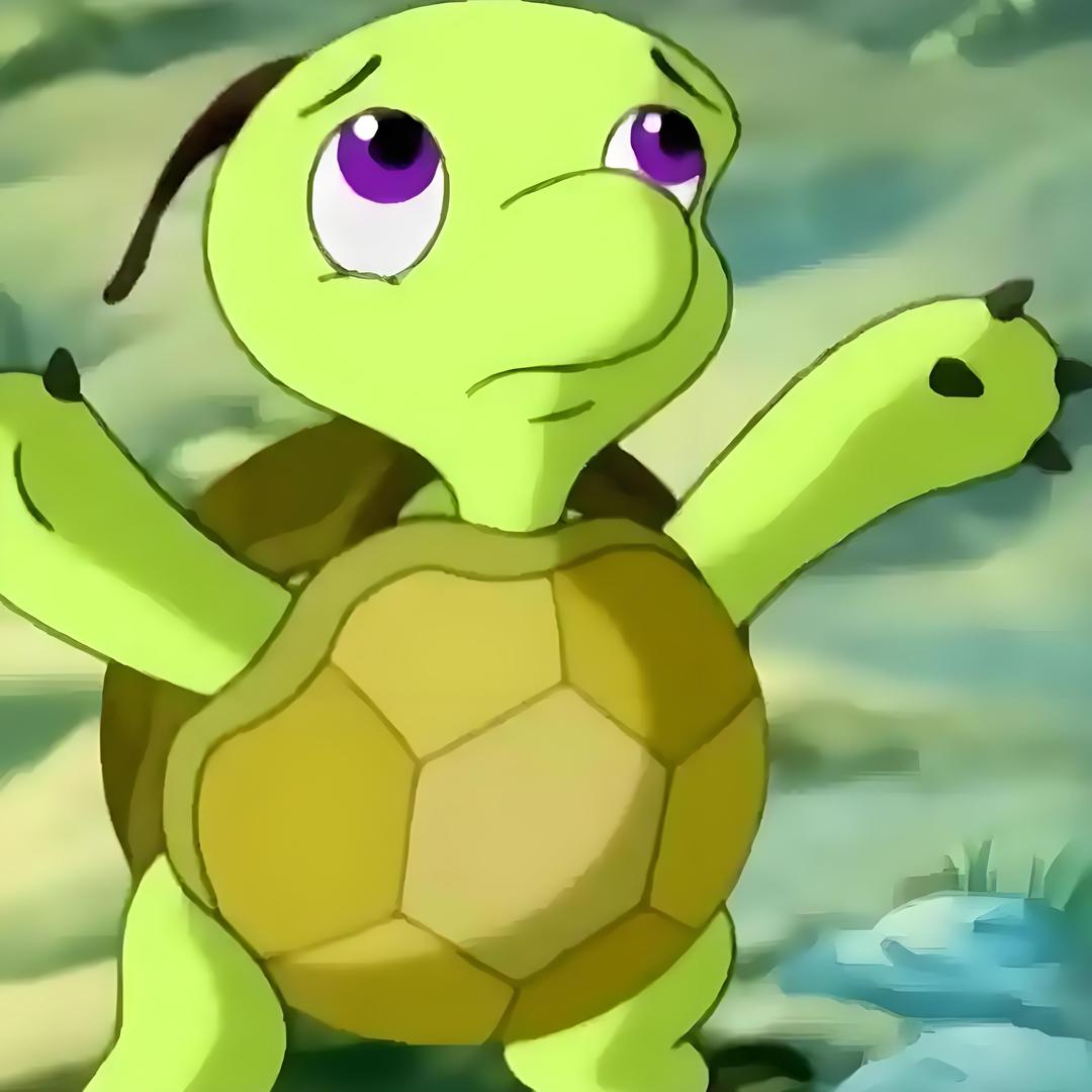 双面小龟龟🐢