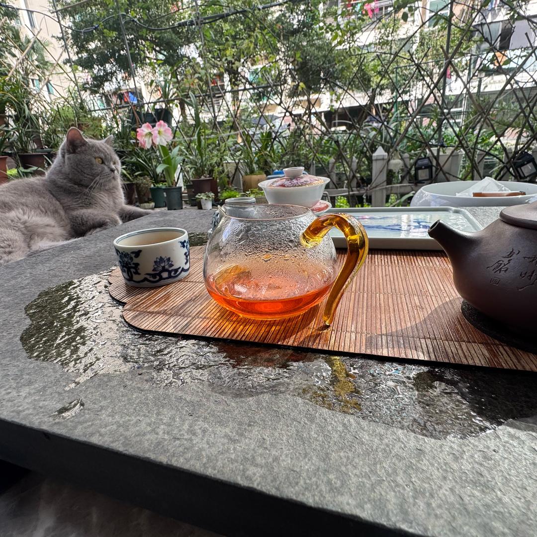 大自然