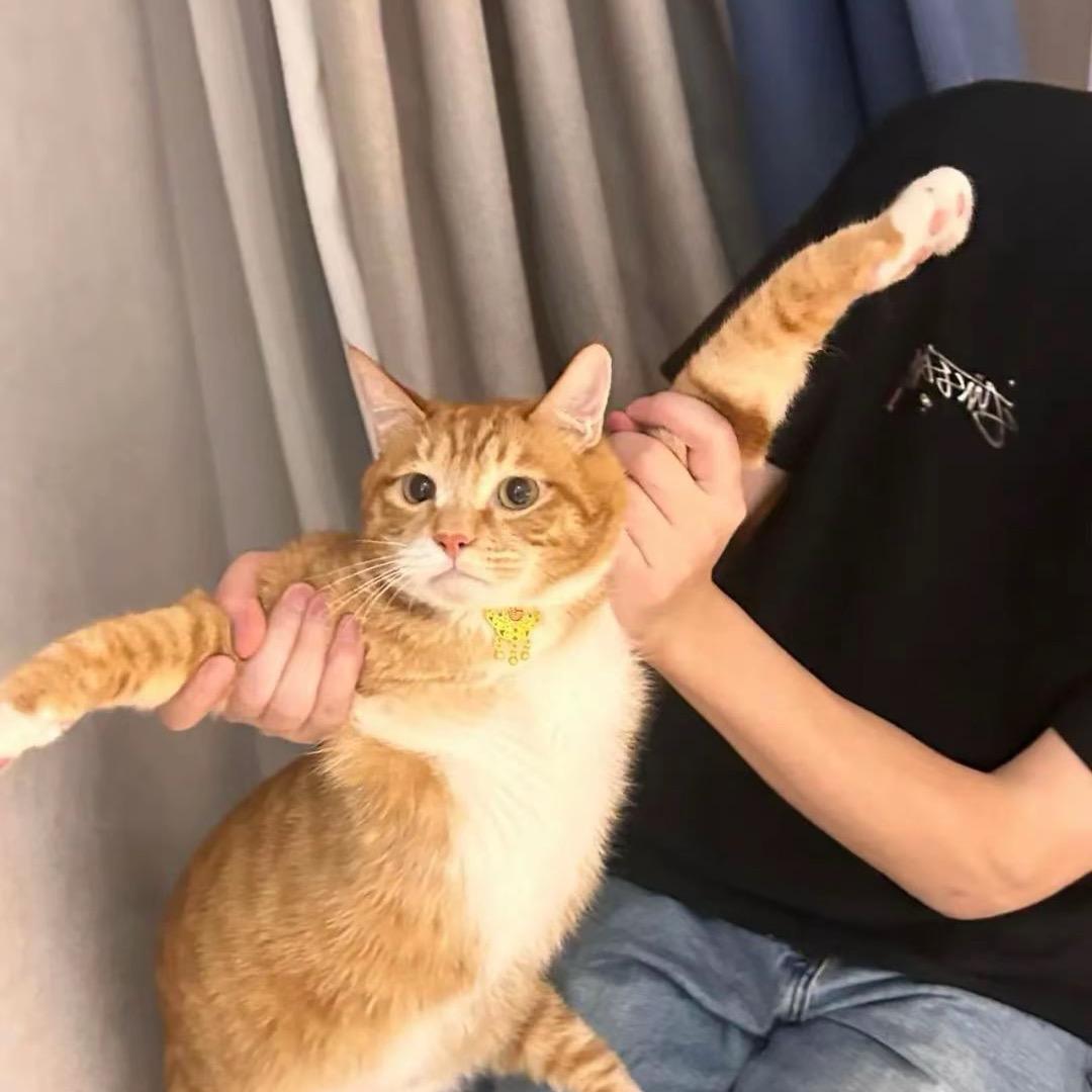 电量30%，亮度100%！