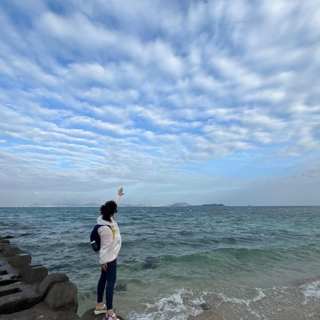 茄子游记