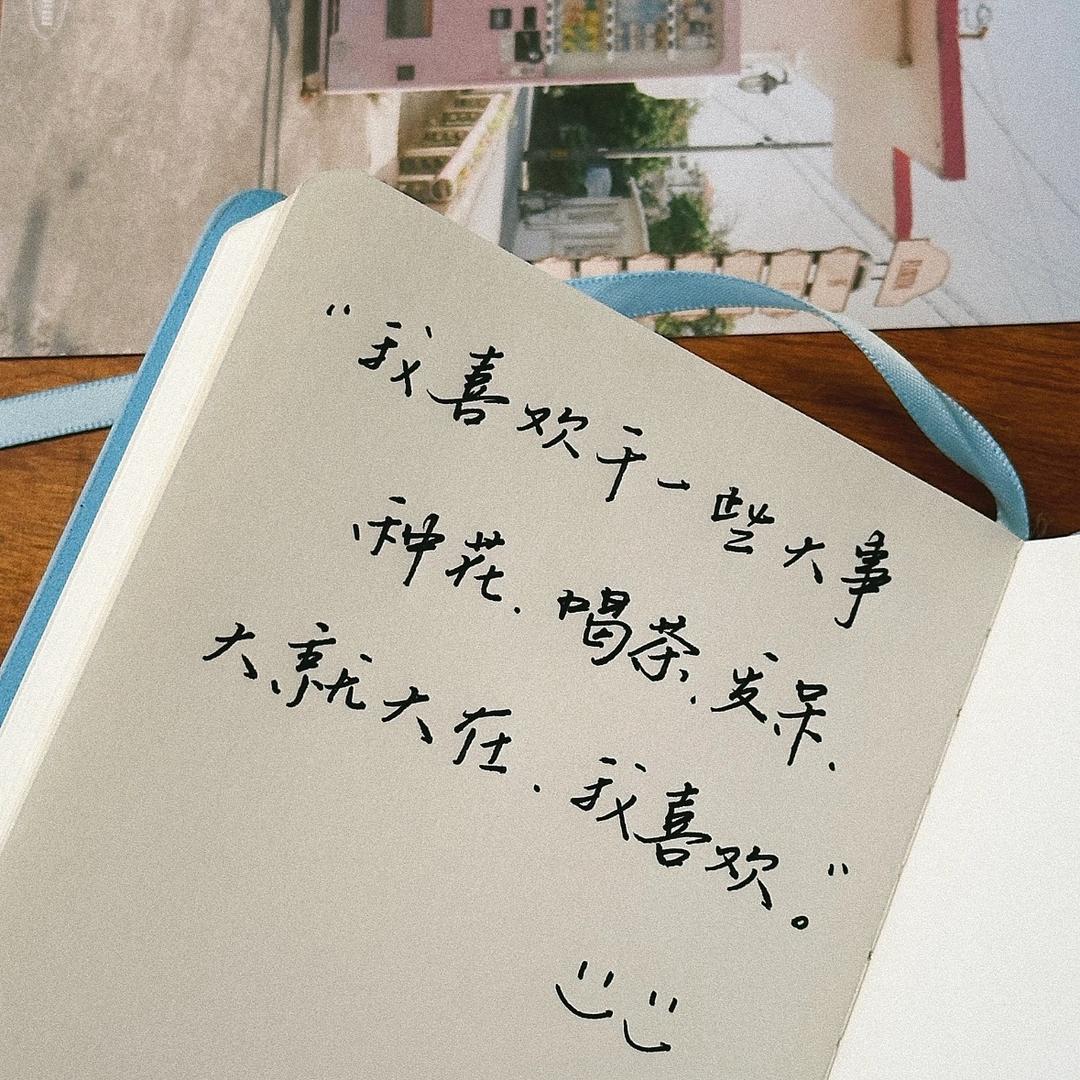 杨大元宝