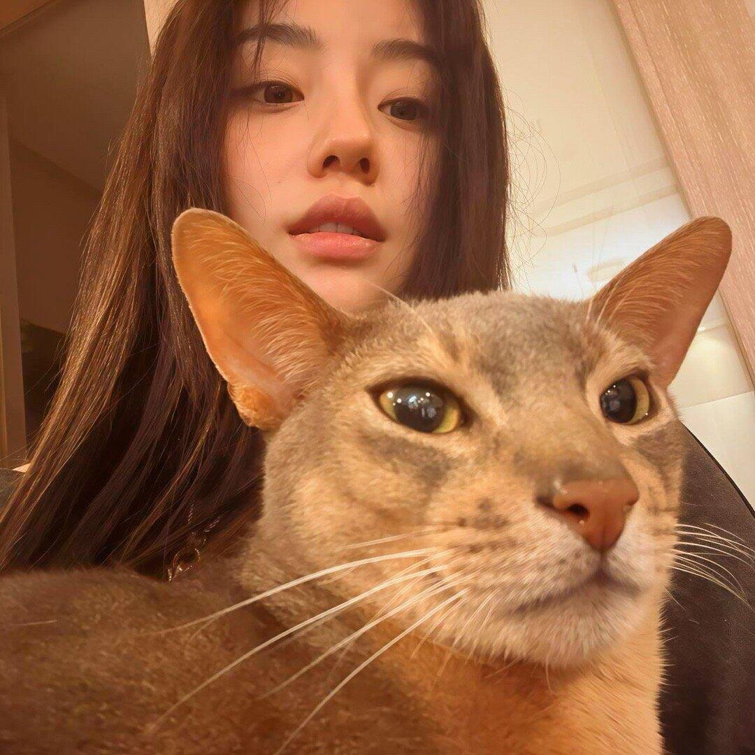 ^想睡个好觉💤