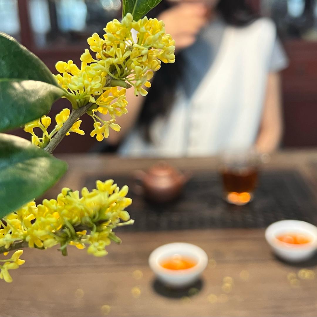 壹茶器（紫砂）