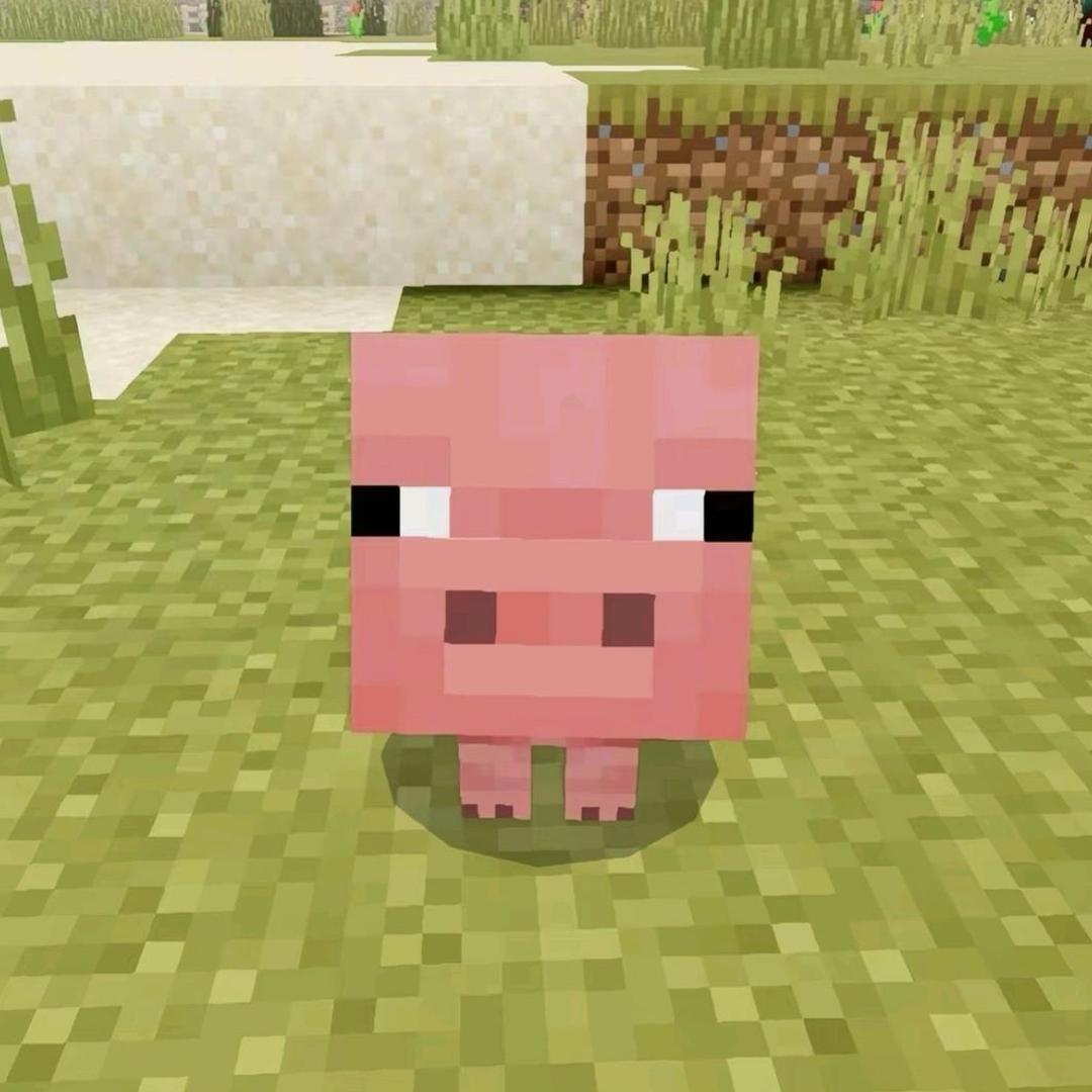 沉默寡言的海象