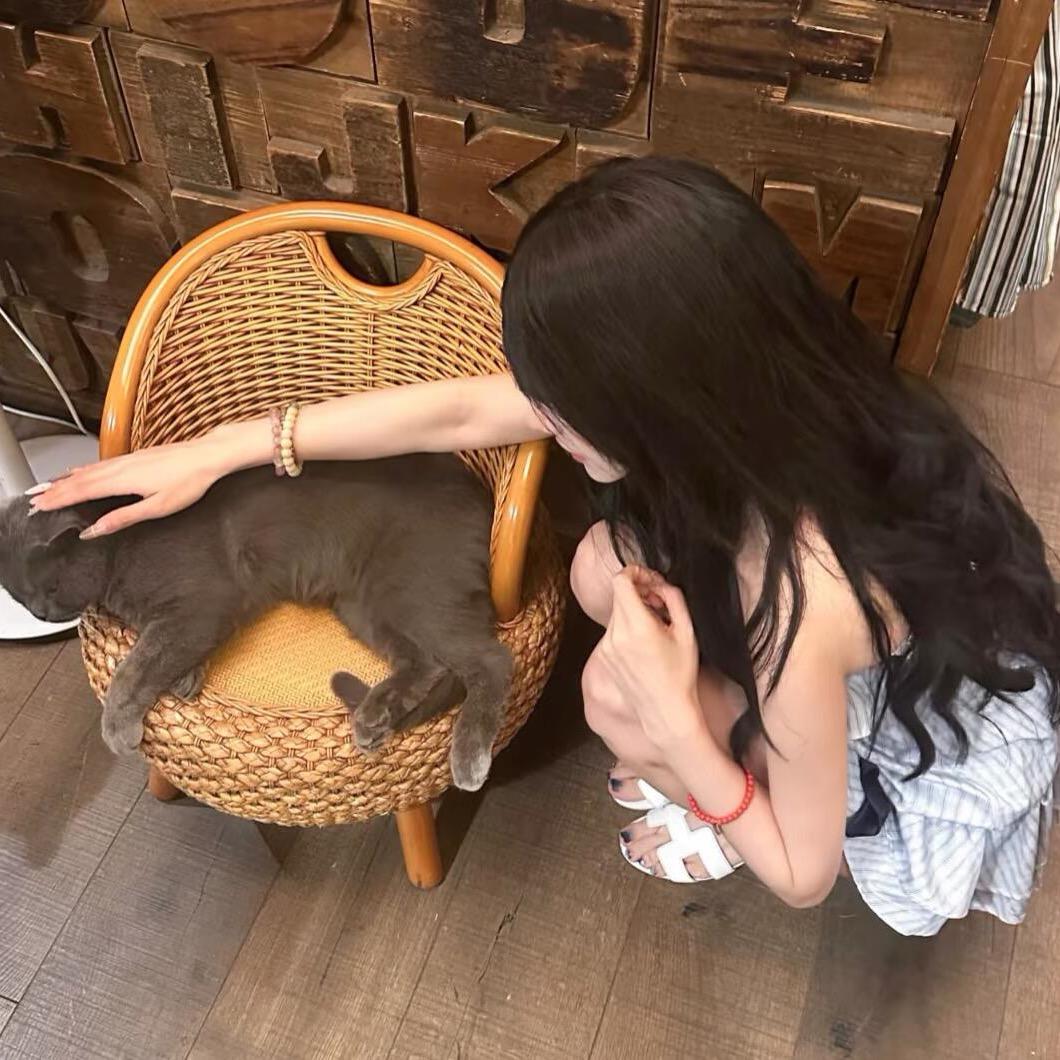 橙子