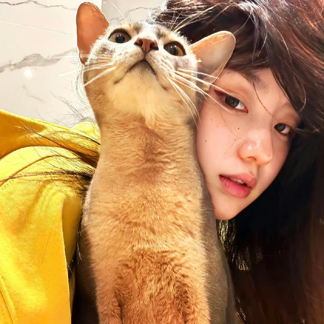 猪大漂亮
