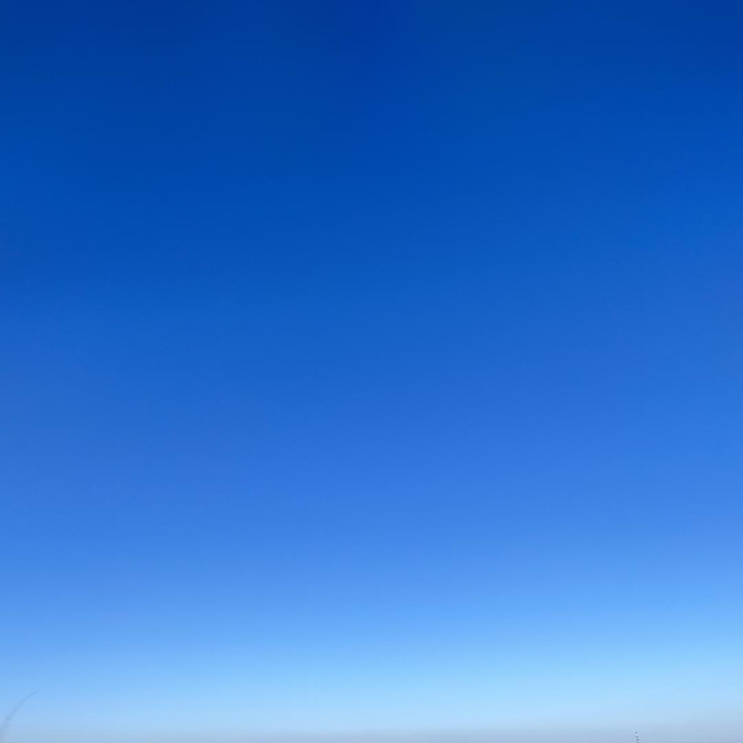 宝白💧