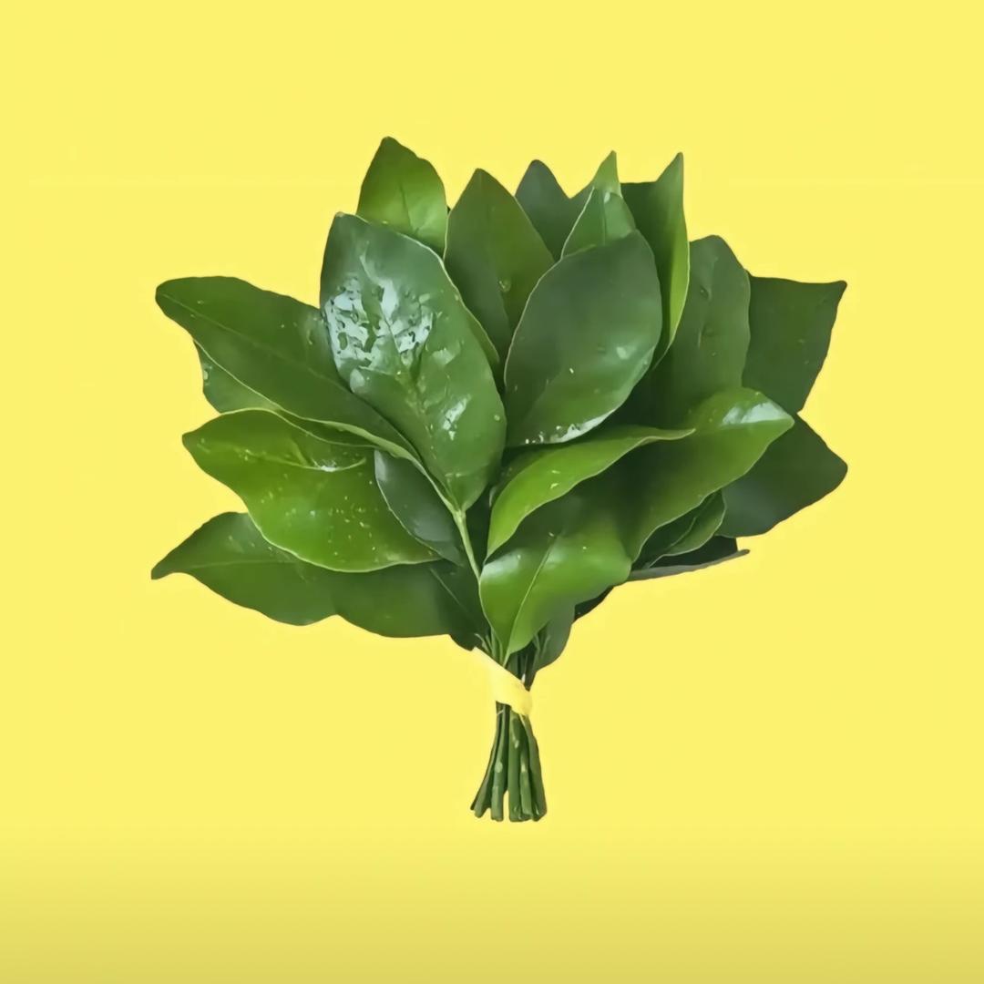 反方向的枫