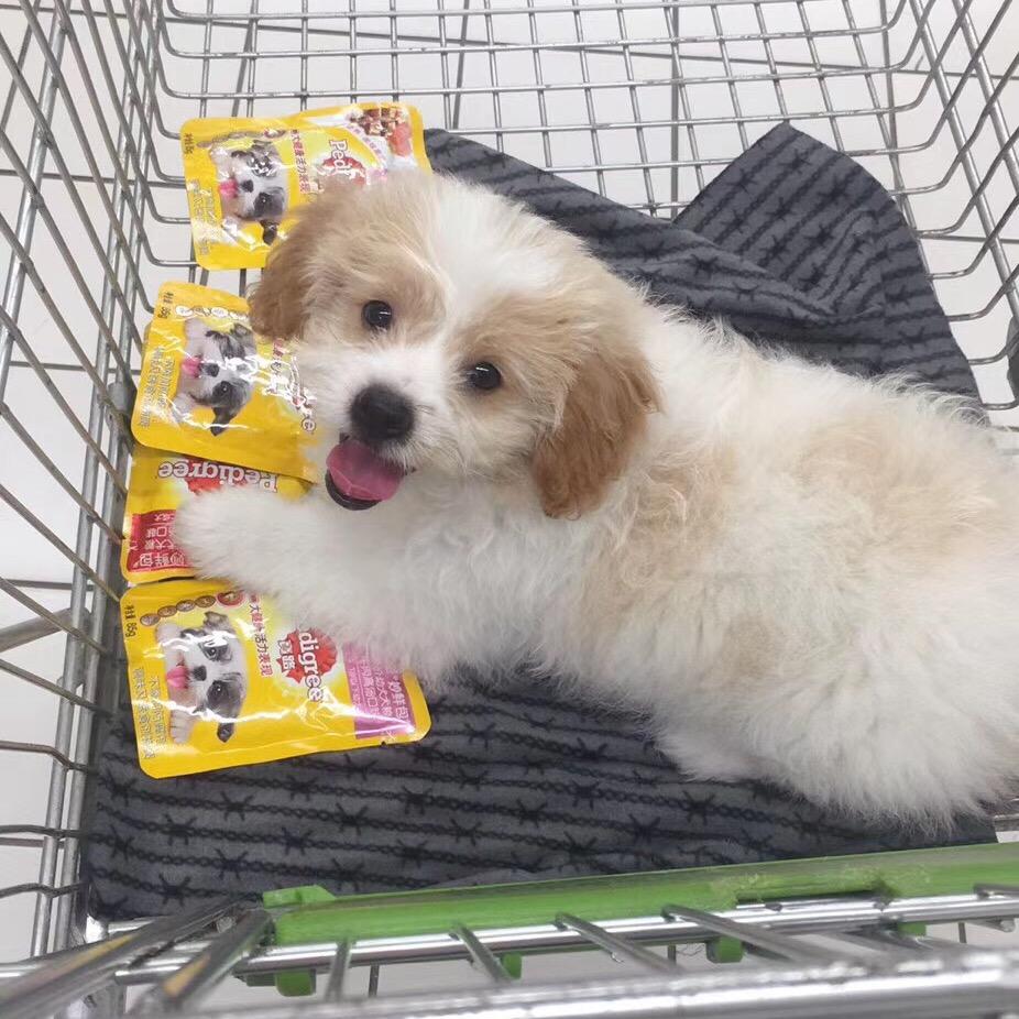 咔咔的