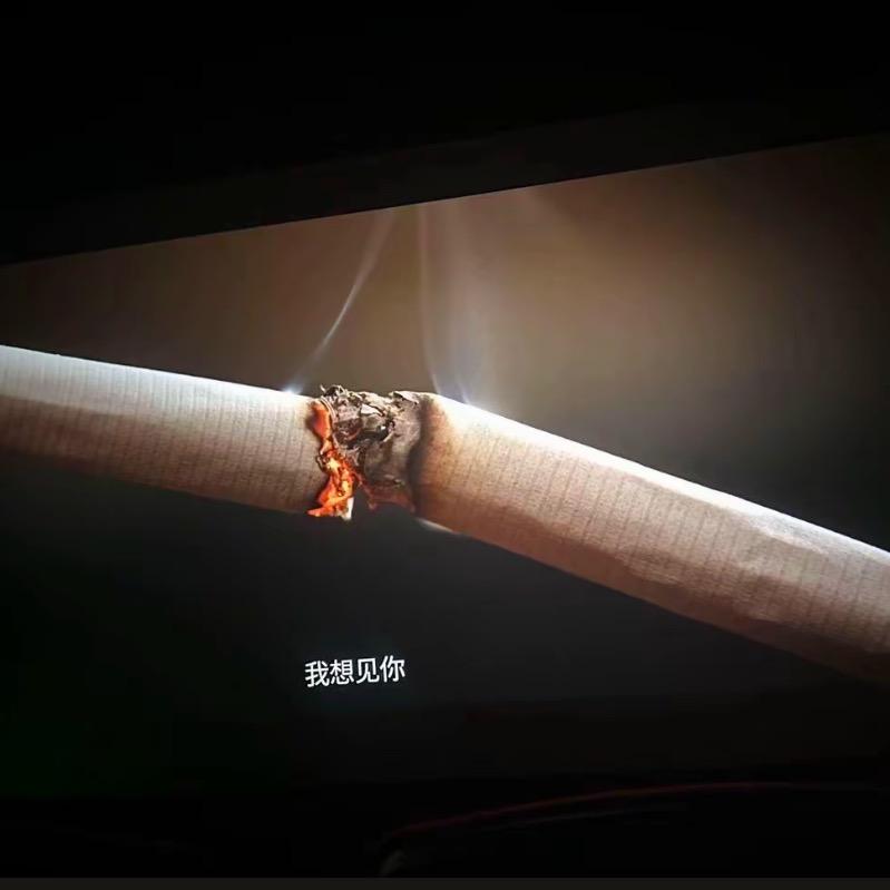 ᝰꫛꫀꪝ              🪳