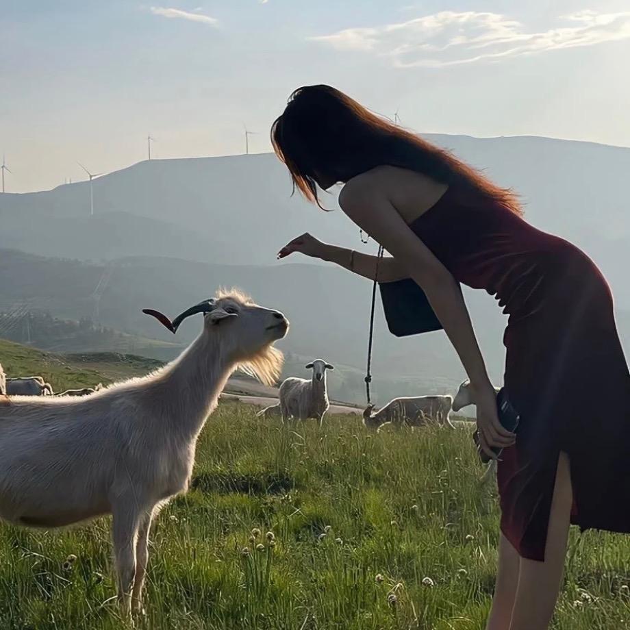小燕子🧸