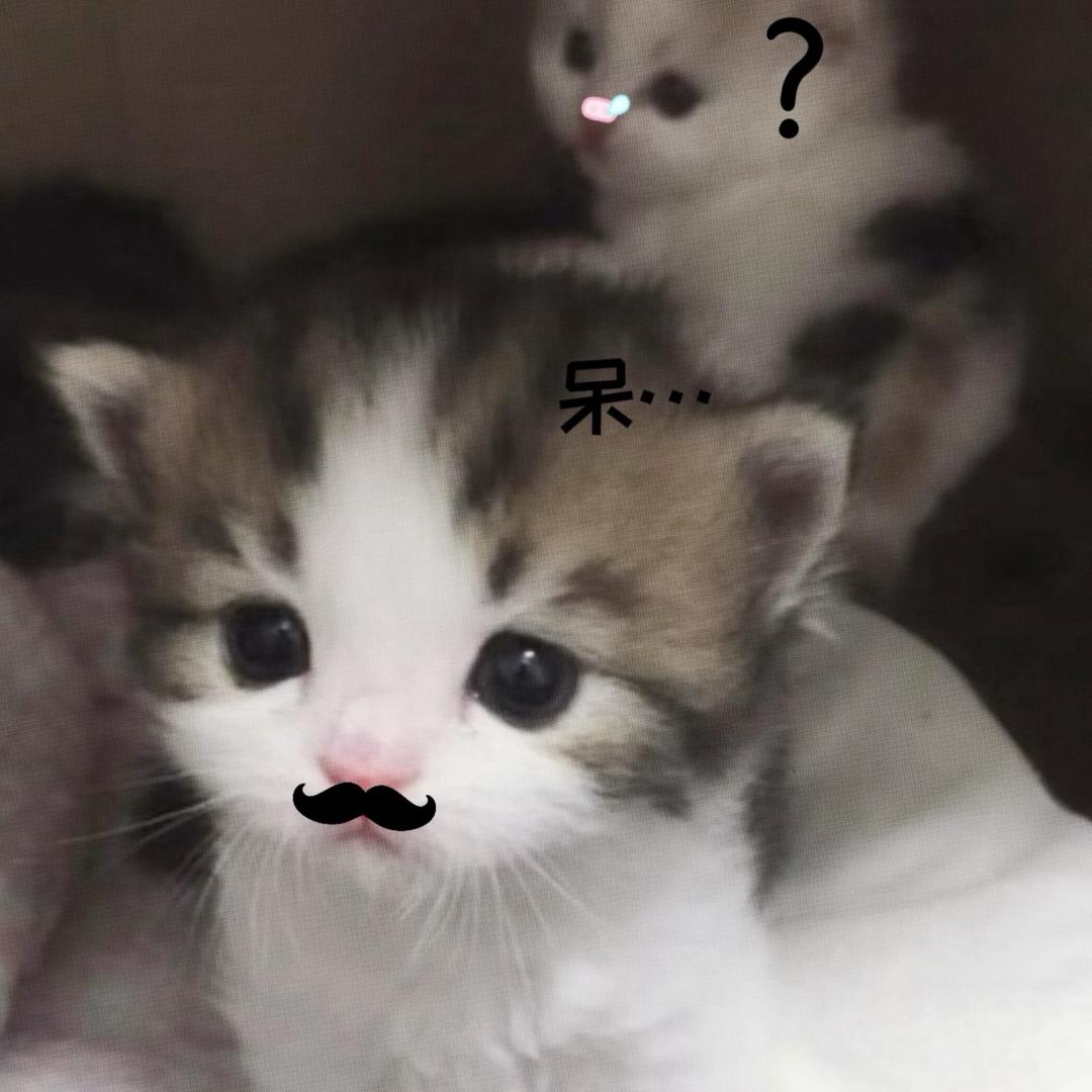 果汁茶